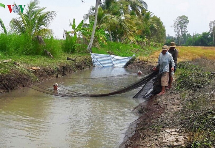 Sau đó, vào giữa mùa khô, mọi kênh mương trong ruộng đều cạn nước, cá rút hết về đìa, người dân dùng phương pháp tát đìa (dùng máy tát cạn nước) để bắt lại lần 2.