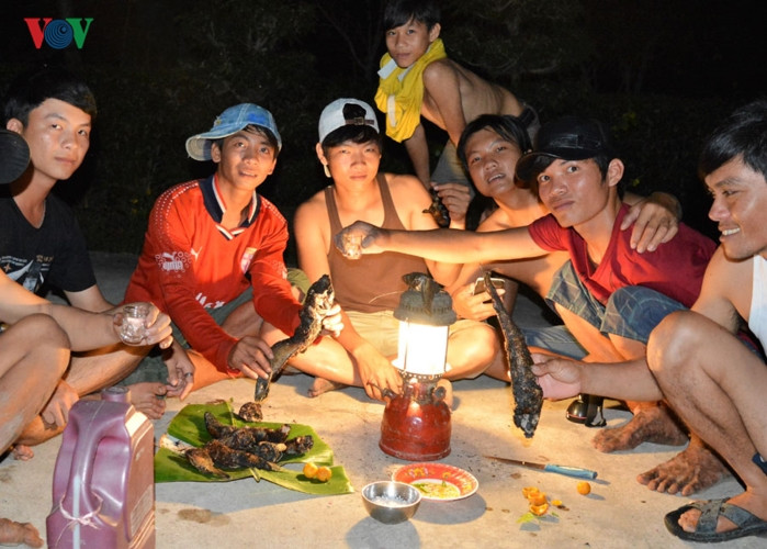 Anh: Mua thu hoach ca dong noi Dat Mui - Ca Mau