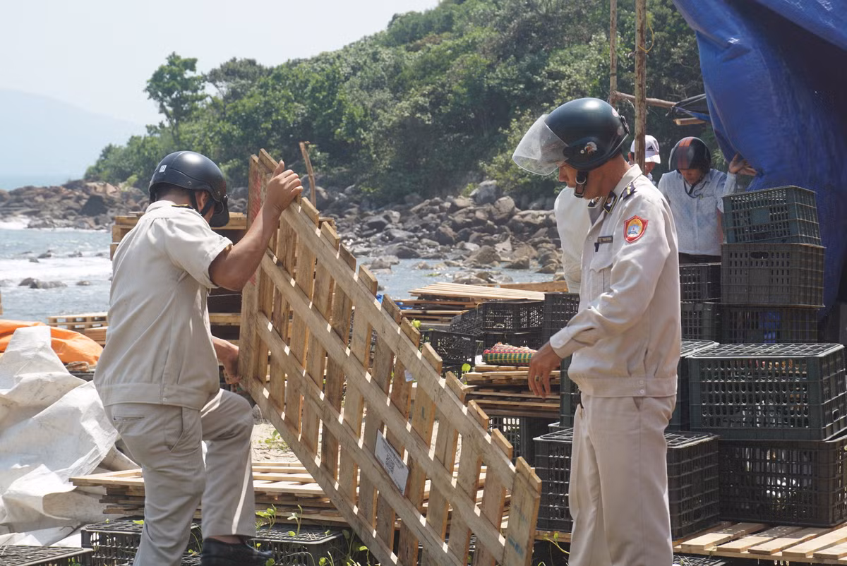 Các lều tạm này chủ làm bằng tre và gỗ lấn sát bờ biển.