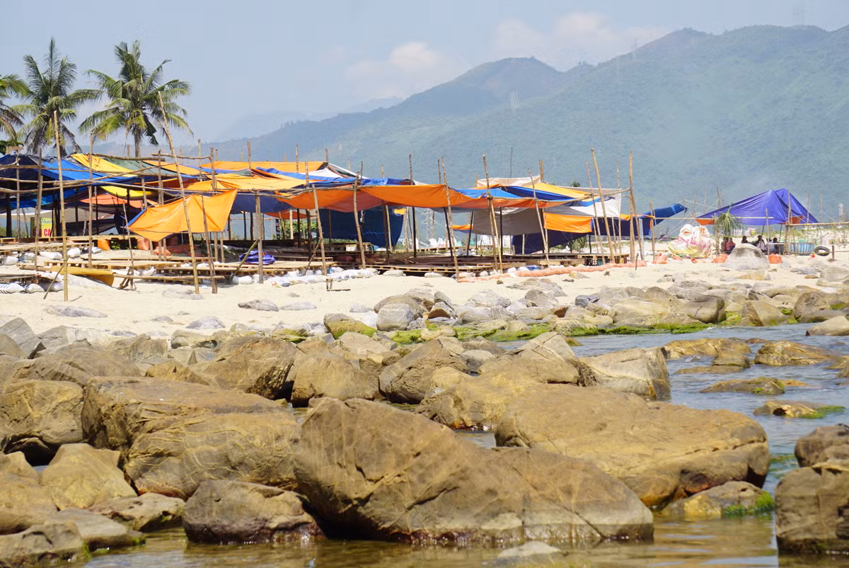 Đây là khu vực thời gian qua thu hút rất đông người dân và khách du lịch tới tham quan, chụp hình... với mùa rêu xanh.