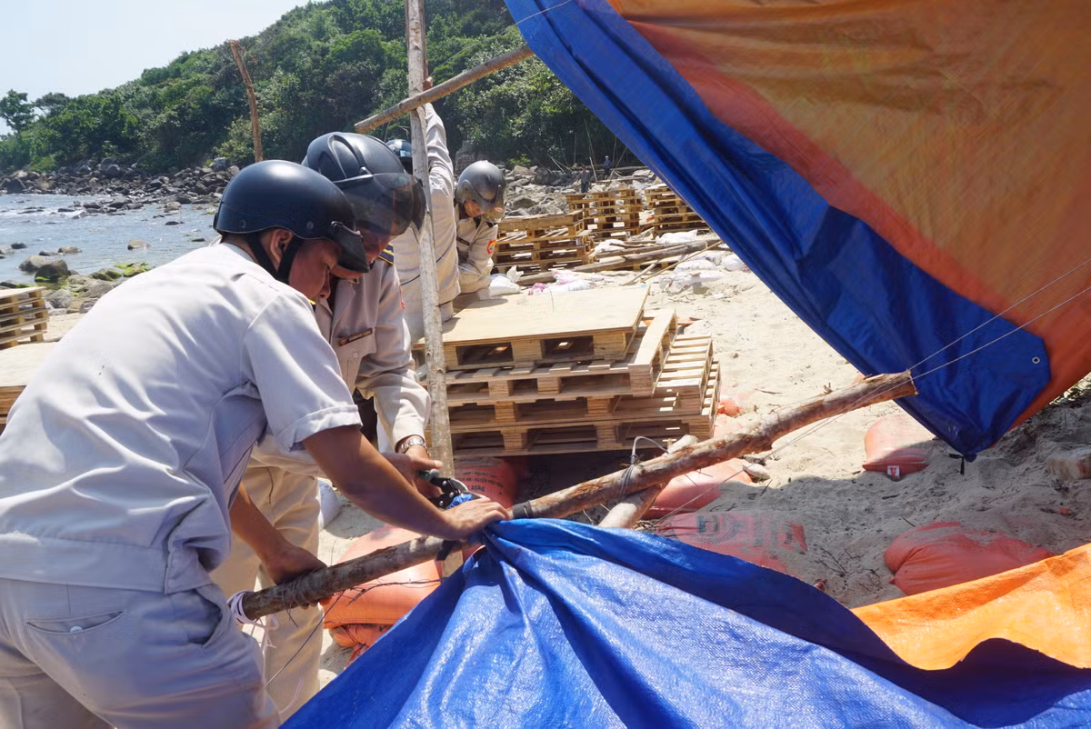 Bà Nguyễn Thị Lệ, Chủ tịch UBND phường Hòa Hiệp Nam (quận Liên Chiểu, Đà Nẵng), trước tình hình đó, đầu tháng 3/2019, UBND phường đã gửi thông báo cho tất cả các hộ kinh doanh khu vực bãi biển rạn Nam Ô phải tự tháo dỡ lều bạt, dọn dẹp vệ sinh môi trường. Nhưng đến ngày 26/3 thì bà con vẫn chưa tháo dỡ, dọn dẹp.