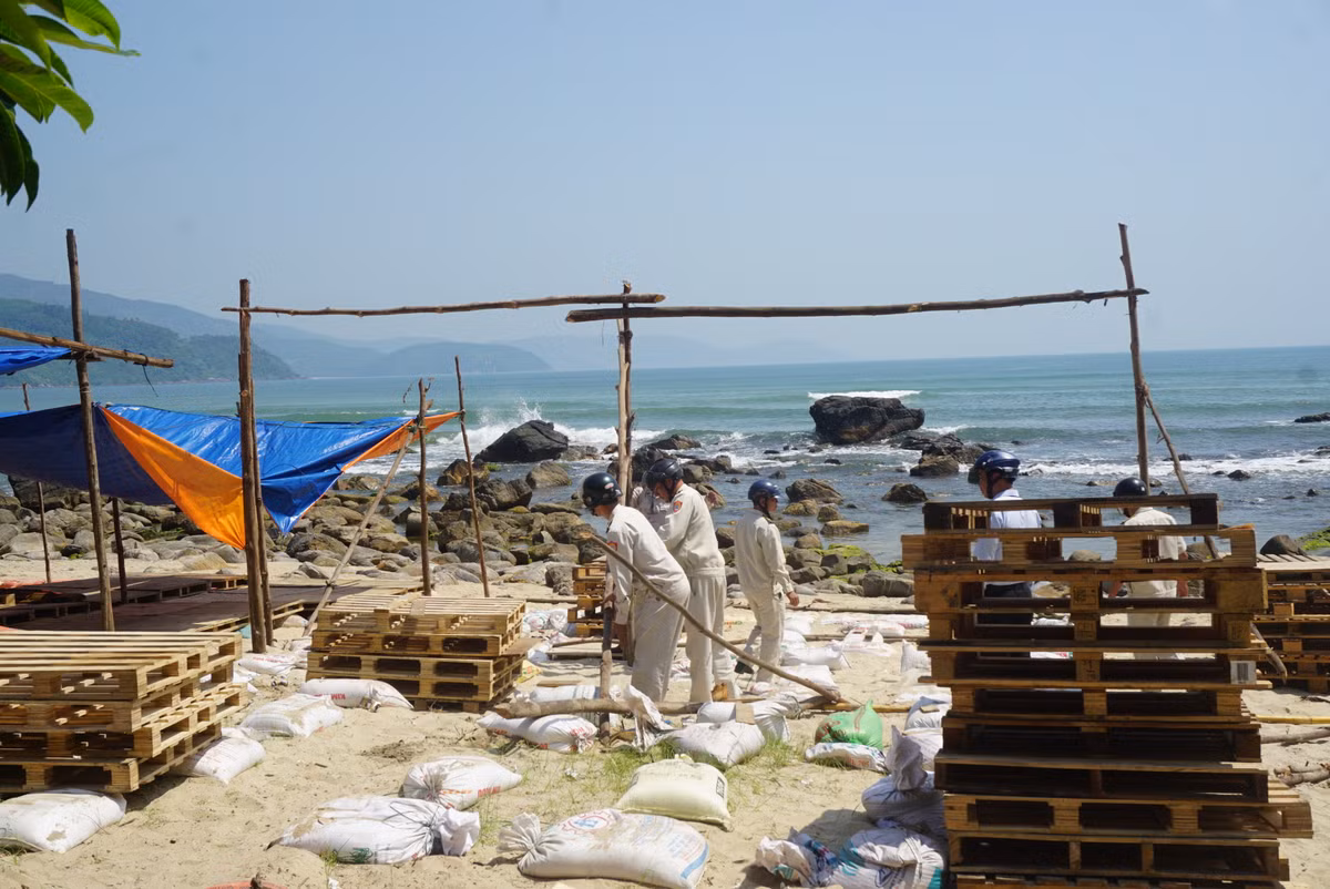 Chủ tịch UBND phường Hòa Hiệp Nam cho hay, sáng thứ 7 vừa qua (23/3), Phó Chủ tịch UBND TP Đà Nẵng Đặng Việt Dũng cũng đã đi kiểm tra thực tế khu vực bãi biển rạn Nam Ô. Chủ trương chung là dọn dẹp vệ sinh môi trường, tháo dỡ các lều bạt kinh doanh buôn bán khu vực này.