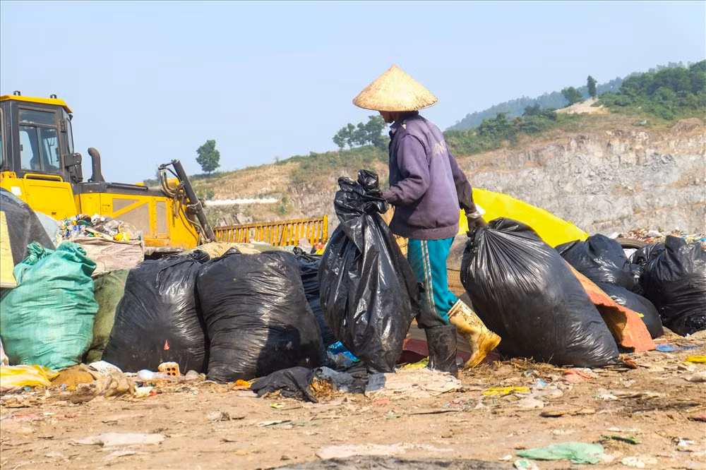 Thu gom những gì nhặt được rồi đem lại bãi tập kết để đến chiều bán.