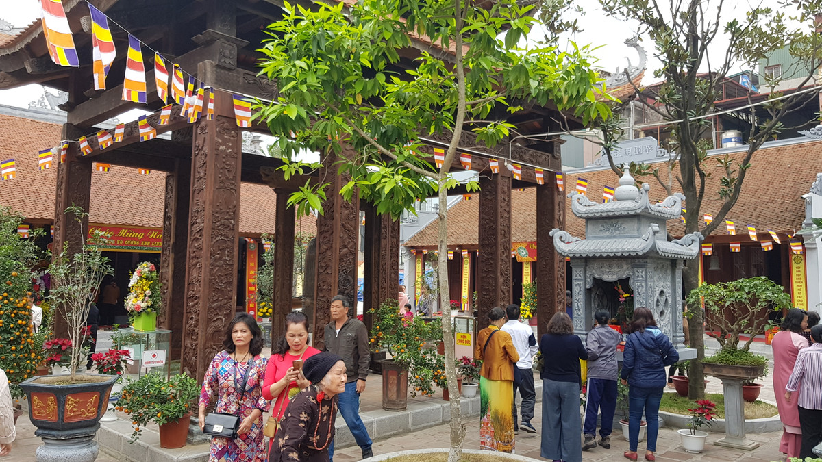 Dan Thu do no nuc den Le hoi Hai Ba Trung-Hinh-9