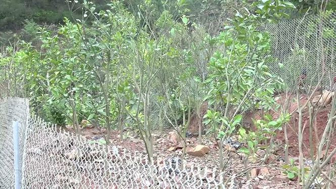 Hang loat can bo bi ky luat vi de nguoi than xay nha 'don' boi thuong-Hinh-3