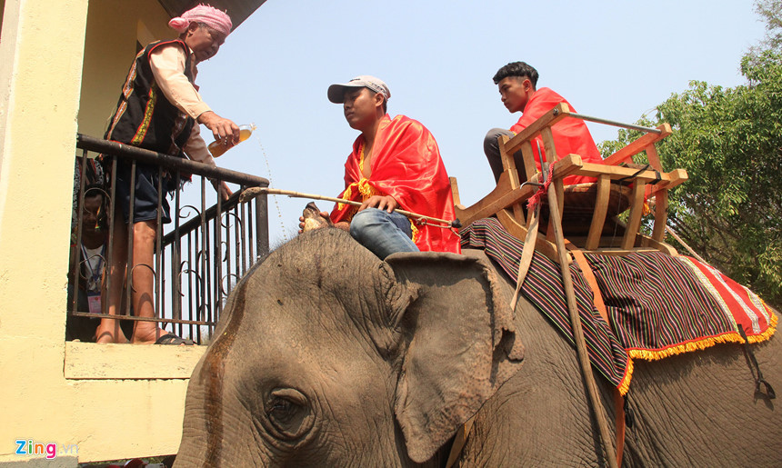 Cùng với lễ cúng bến nước thì voi là một biểu tượng bất biến trong tâm thức của người dân Tây Nguyên. Sức mạnh của voi là biểu tượng của sức mạnh đoàn kết cộng đồng, của gia đình với buôn làng.