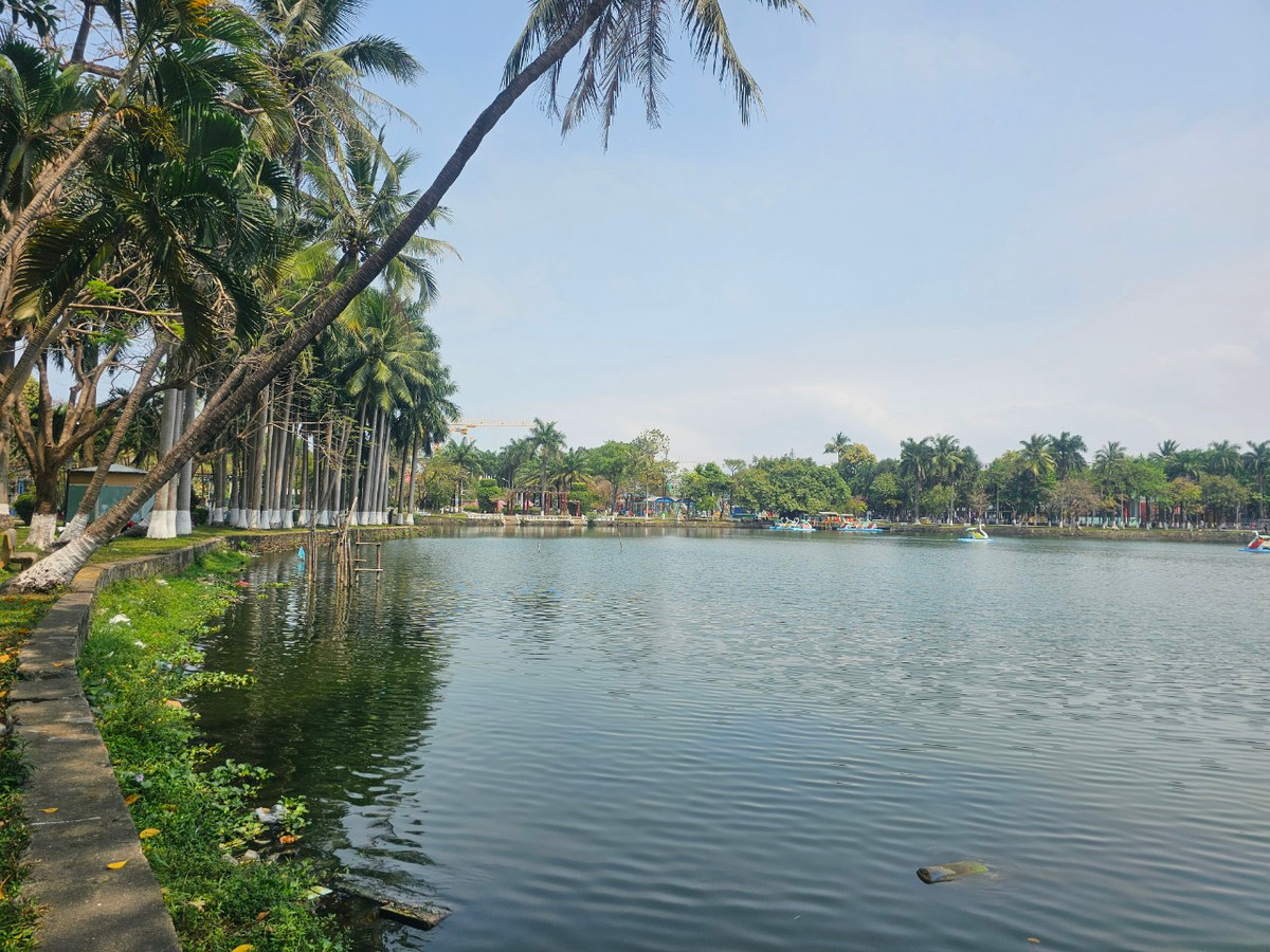 Với hồ nước rộng, mật độ cây xanh dày đặc, nhiều cây cổ thụ to lớn, rợp bóng mát, Công viên 29/3 được mệnh danh là 'lá phổi xanh' của Đà Nẵng.