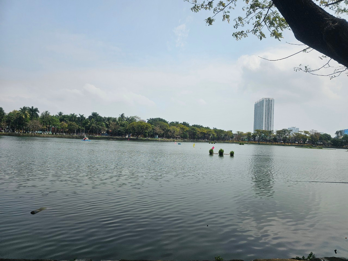 Công viên 29/3 nằm ở mặt tiền hai con đường lớn là Điện Biên Phủ và Nguyễn Tri Phương, ngay trung tâm thành phố Đà Nẵng.