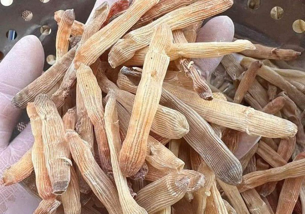 Loại hải sản kỳ dị giống giun giá tới 7 triệu đồng/kg - Hình 2 Loai hai san ky di giong giun gia toi 7 trieu dong/kg-Hinh-2