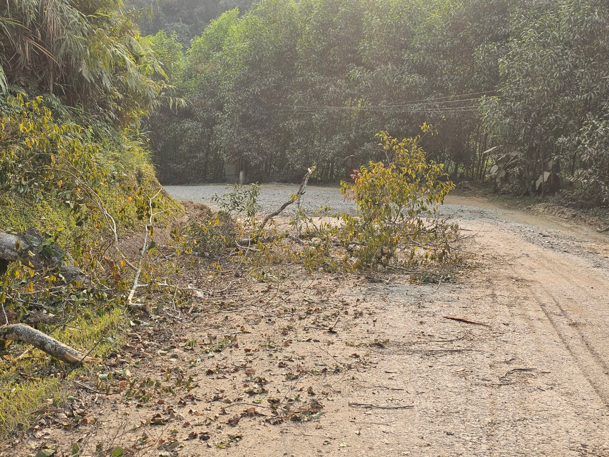 Tuyến Quốc lộ huyết mạch đóng vai trò quan trọng trong vận tải hàng hóa ở khu vực miền Trung trông như đường làng.