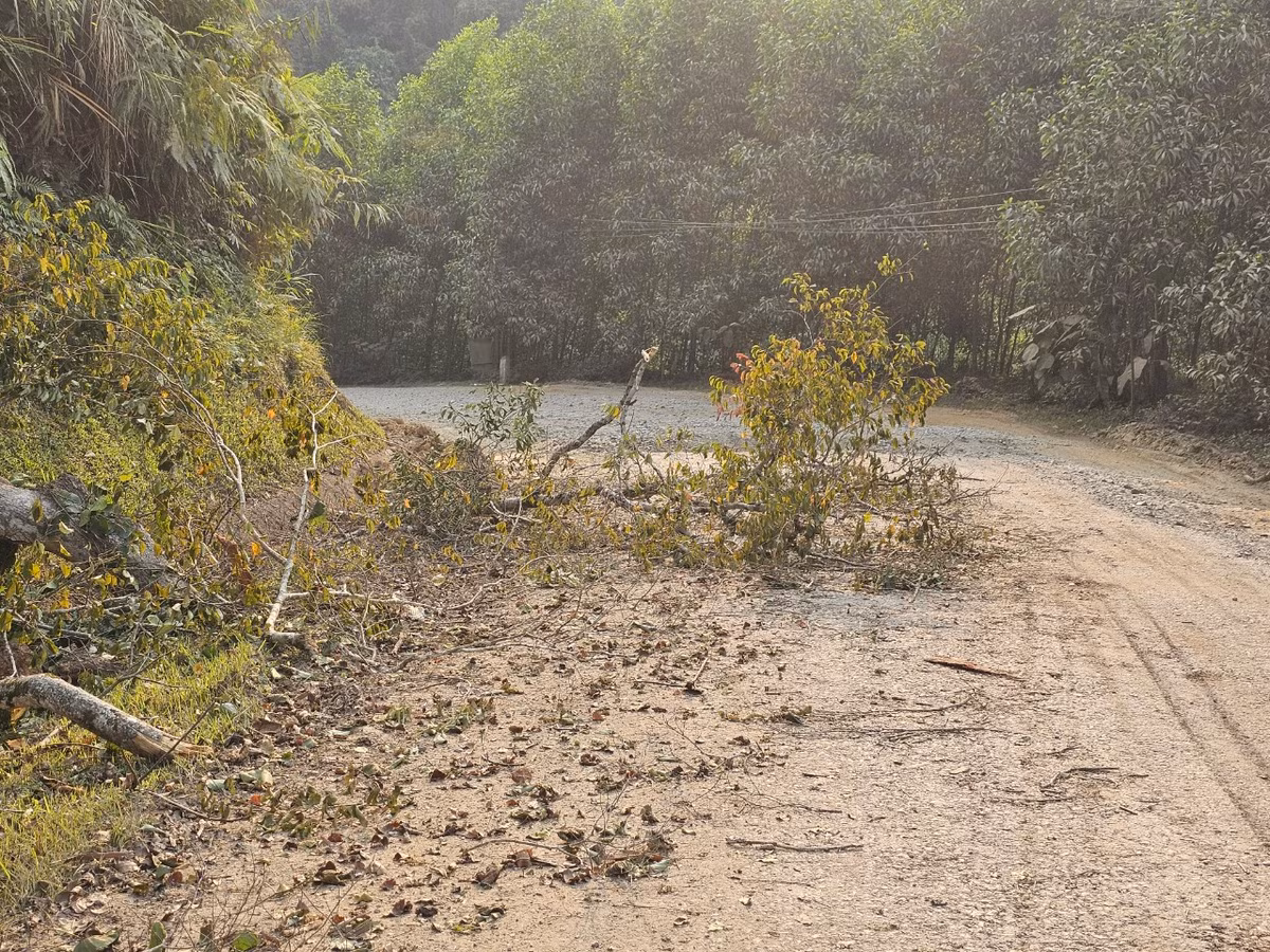 Tuyến Quốc lộ huyết mạch đóng vai trò quan trọng trong vận tải hàng hóa ở khu vực miền Trung trông như đường làng.