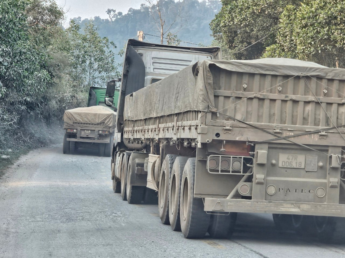 Trong khi đó, lưu lượng xe chở hàng hóa qua Cửa khẩu quốc tế Nam Giang theo QL 14D về cảng Đà Nẵng, cảng Chân Mây (Thừa Thiên Huế) đang có chiều hướng tăng cao.