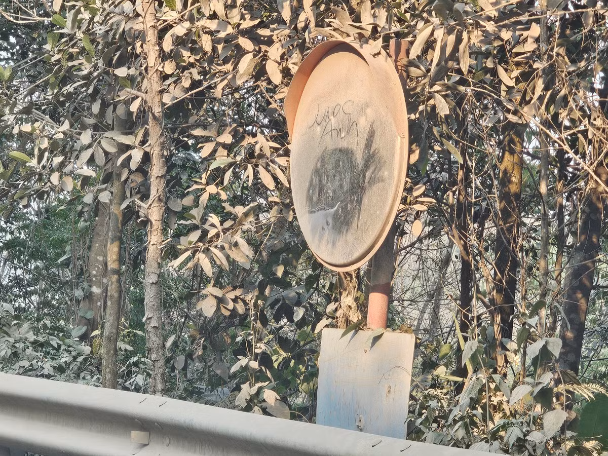 Phía trên, các gương cầu lồi "mất tác dụng" do bụi phủ kín.