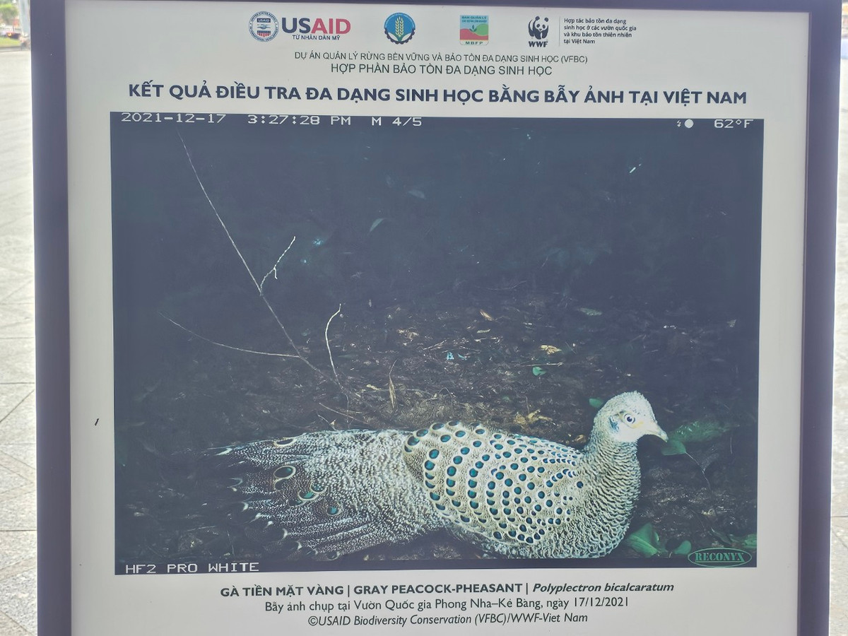 Theo dữ liệu toàn cầu từ Sách Đỏ của Liên minh bảo tồn thiên nhiên Quốc tế, hiện nay, có 8.400 loài động vật và thực vật hoang dã đang bị đe dọa nghiêm trọng. Gần 30.000 loài khác được coi là có nguy cơ tuyệt chủng hoặc dễ bị tổn thương.