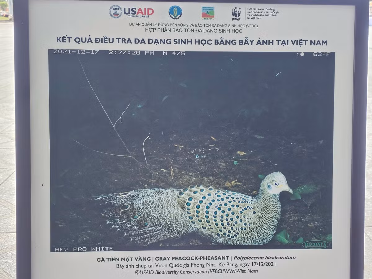 Theo dữ liệu toàn cầu từ Sách Đỏ của Liên minh bảo tồn thiên nhiên Quốc tế, hiện nay, có 8.400 loài động vật và thực vật hoang dã đang bị đe dọa nghiêm trọng. Gần 30.000 loài khác được coi là có nguy cơ tuyệt chủng hoặc dễ bị tổn thương.