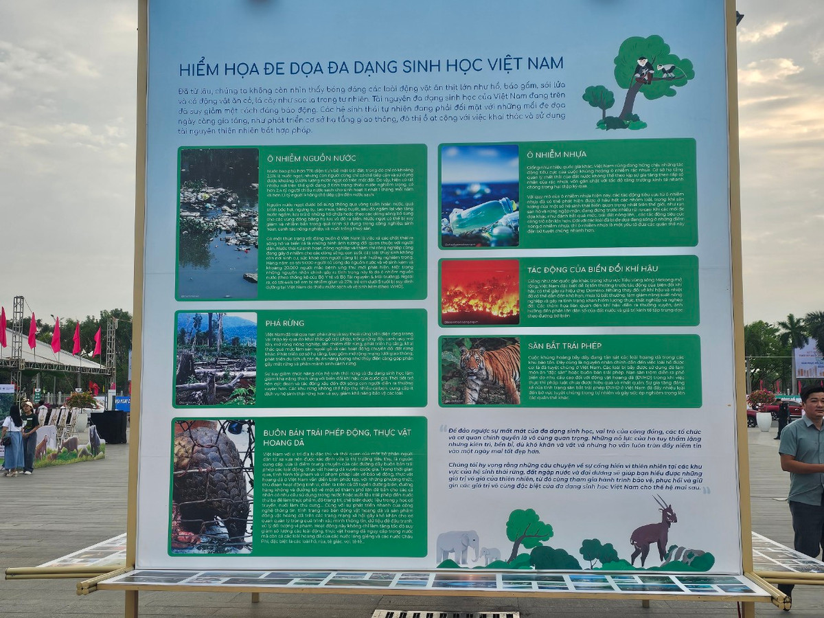 Nhiều năm qua, Việt Nam là một trong những quốc gia châu Á tiêu thụ nhiều thịt rừng và các sản phẩm khác từ động vật hoang dã.