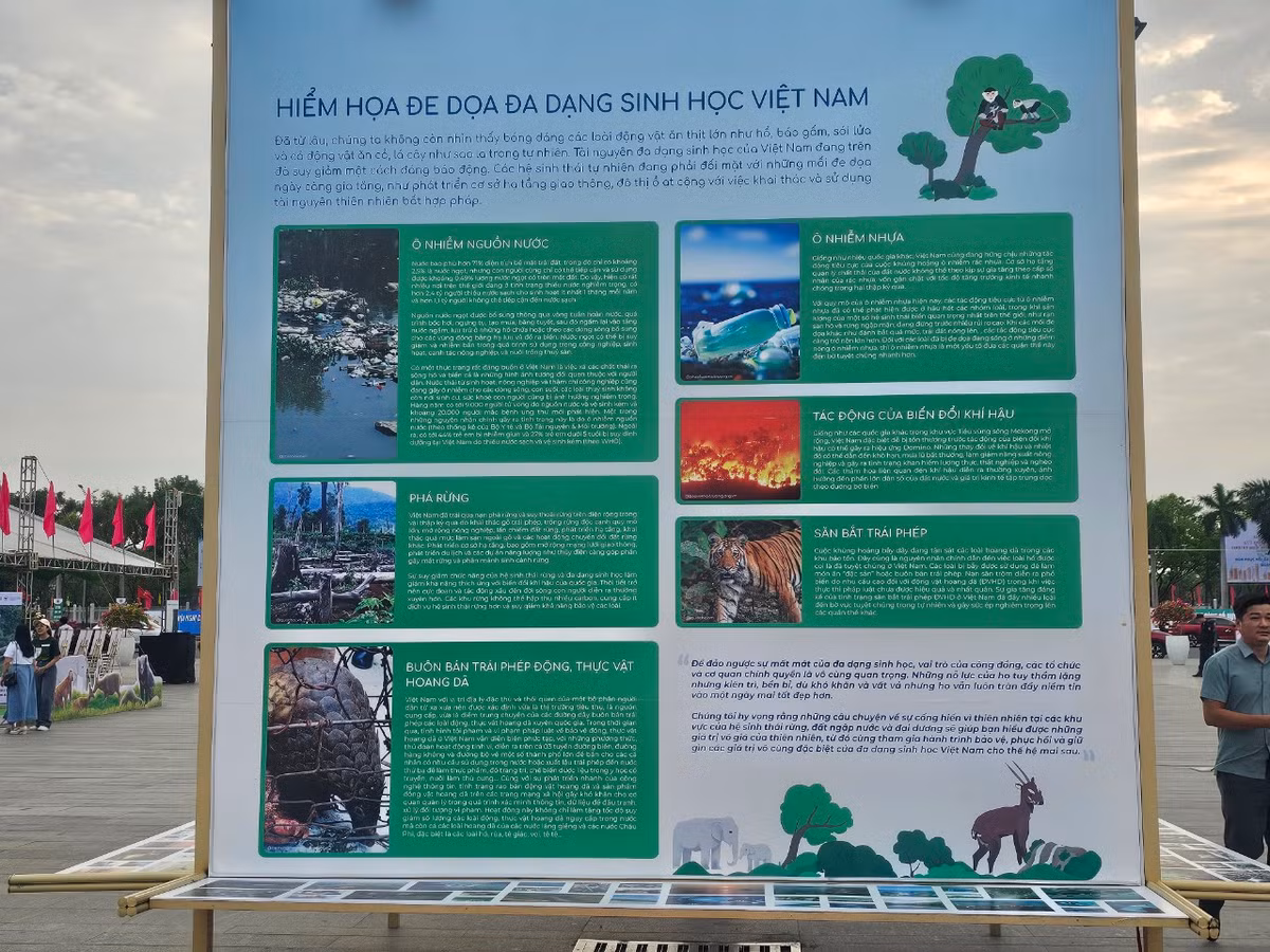 Nhiều năm qua, Việt Nam là một trong những quốc gia châu Á tiêu thụ nhiều thịt rừng và các sản phẩm khác từ động vật hoang dã.