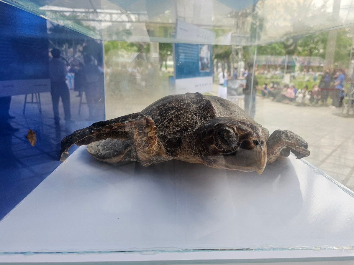 Đa dạng sinh học đóng vai trò quan trọng đến sự tồn tại và phát triển của con người.