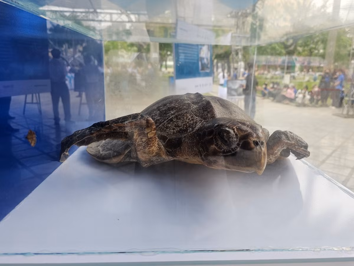 Đa dạng sinh học đóng vai trò quan trọng đến sự tồn tại và phát triển của con người.