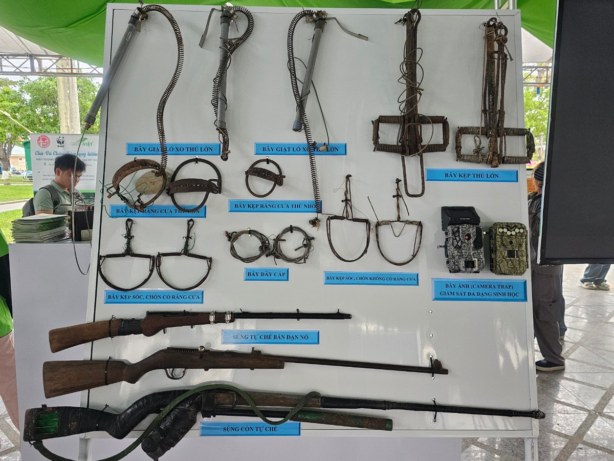 iều này cũng đòi hỏi có sự quan tâm đầu tư thỏa đáng về nguồn lực và truyền thông nâng cao nhận thức về bảo tồn thiên nhiên và đa dạng sinh học nhằm ngăn chặn và chấm dứt hành vi buôn bán động vật hoang dã và sử dụng thịt thú rừng.