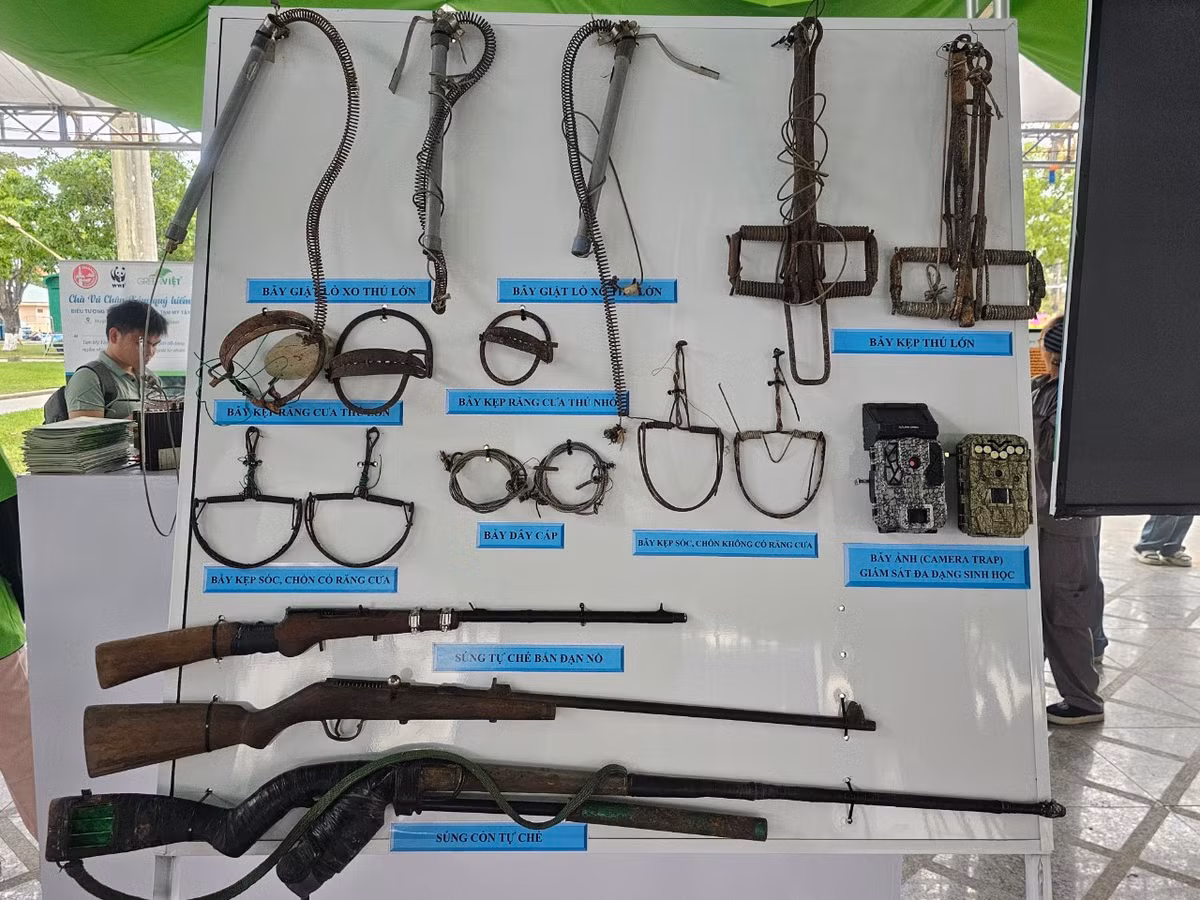 Điều này cũng đòi hỏi có sự quan tâm đầu tư thỏa đáng về nguồn lực và truyền thông nâng cao nhận thức về bảo tồn thiên nhiên và đa dạng sinh học nhằm ngăn chặn và chấm dứt hành vi buôn bán động vật hoang dã và sử dụng thịt thú rừng.