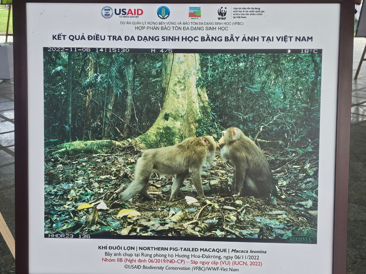 Tuy nhiên, cũng như nhiều quốc gia khác, Việt Nam đang phải đối mặt với tình trạng suy thoái đa dạng sinh học đang diễn ra ngày càng lớn.