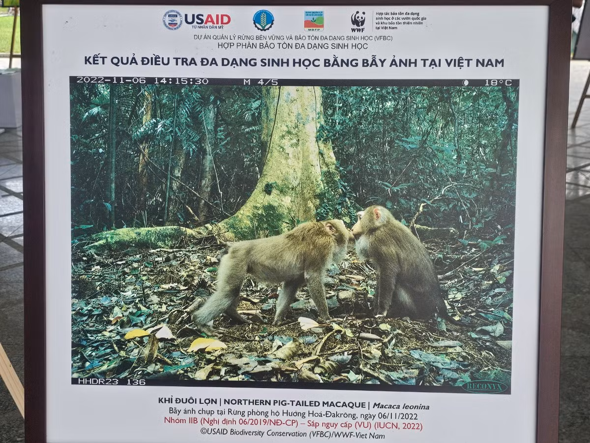 Tuy nhiên, cũng như nhiều quốc gia khác, Việt Nam đang phải đối mặt với tình trạng suy thoái đa dạng sinh học đang diễn ra ngày càng lớn.