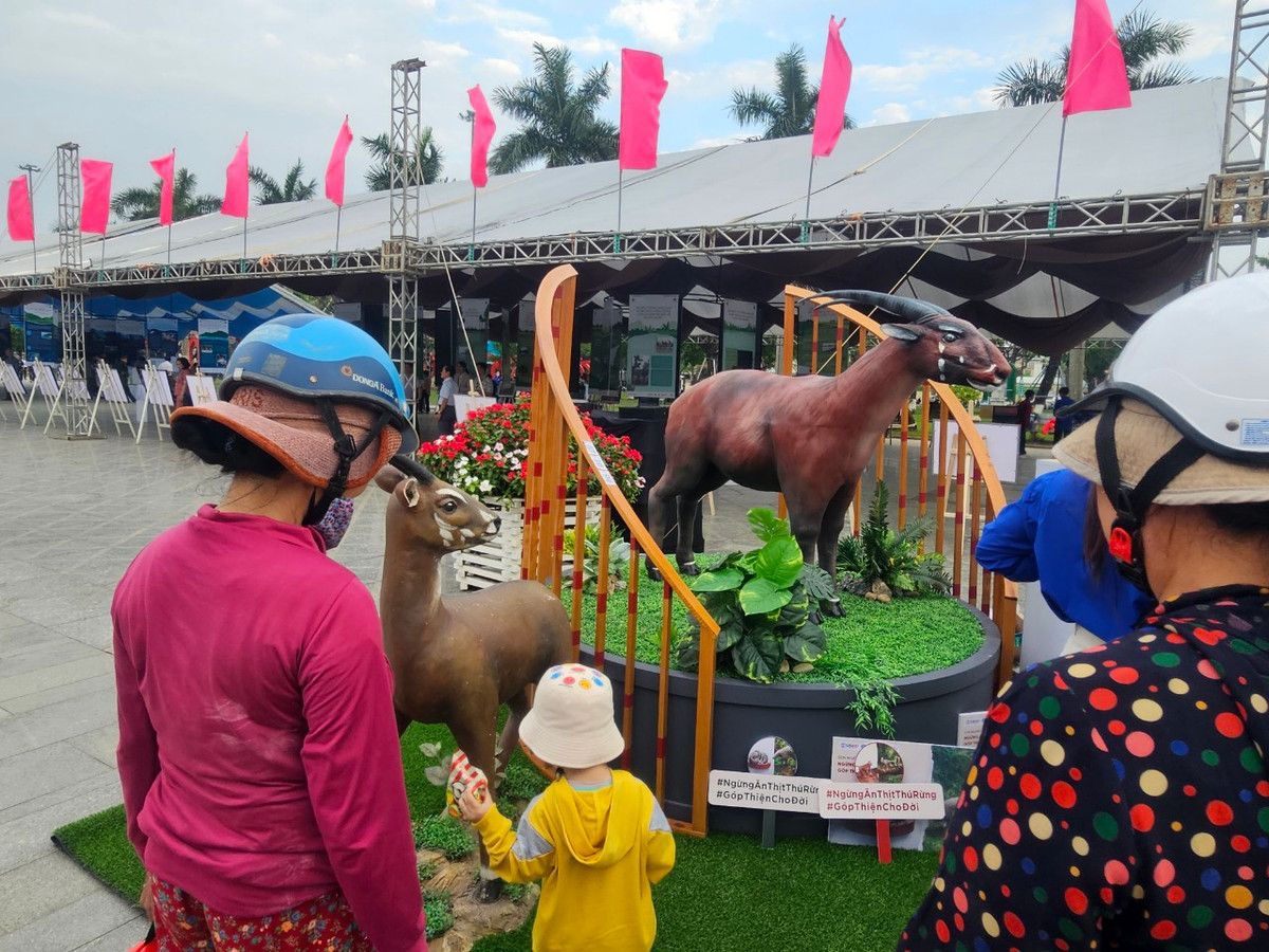 Chiến dịch truyền thông với thông điệp "Con người có cặp, thú rừng có đôi; Ngừng ăn thịt thú rừng, góp thiện cho đời" sẽ được triển khai tại nhiều tỉnh như Quảng Nam, Thừa Thiên Huế, Lâm Đồng, Quảng Trị và Quảng Bình từ tháng 3-5/2024.