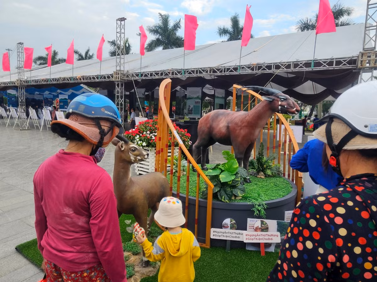 Chiến dịch truyền thông với thông điệp "Con người có cặp, thú rừng có đôi; Ngừng ăn thịt thú rừng, góp thiện cho đời" sẽ được triển khai tại nhiều tỉnh như Quảng Nam, Thừa Thiên Huế, Lâm Đồng, Quảng Trị và Quảng Bình từ tháng 3-5/2024.