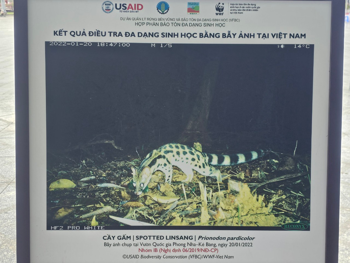 Việt Nam được ghi nhận là một trong 16 quốc gia có đa dạng sinh học cao nhất thế giới với khoảng 51.400 sinh vật.