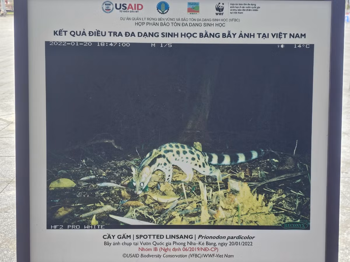 Việt Nam được ghi nhận là một trong 16 quốc gia có đa dạng sinh học cao nhất thế giới với khoảng 51.400 sinh vật.