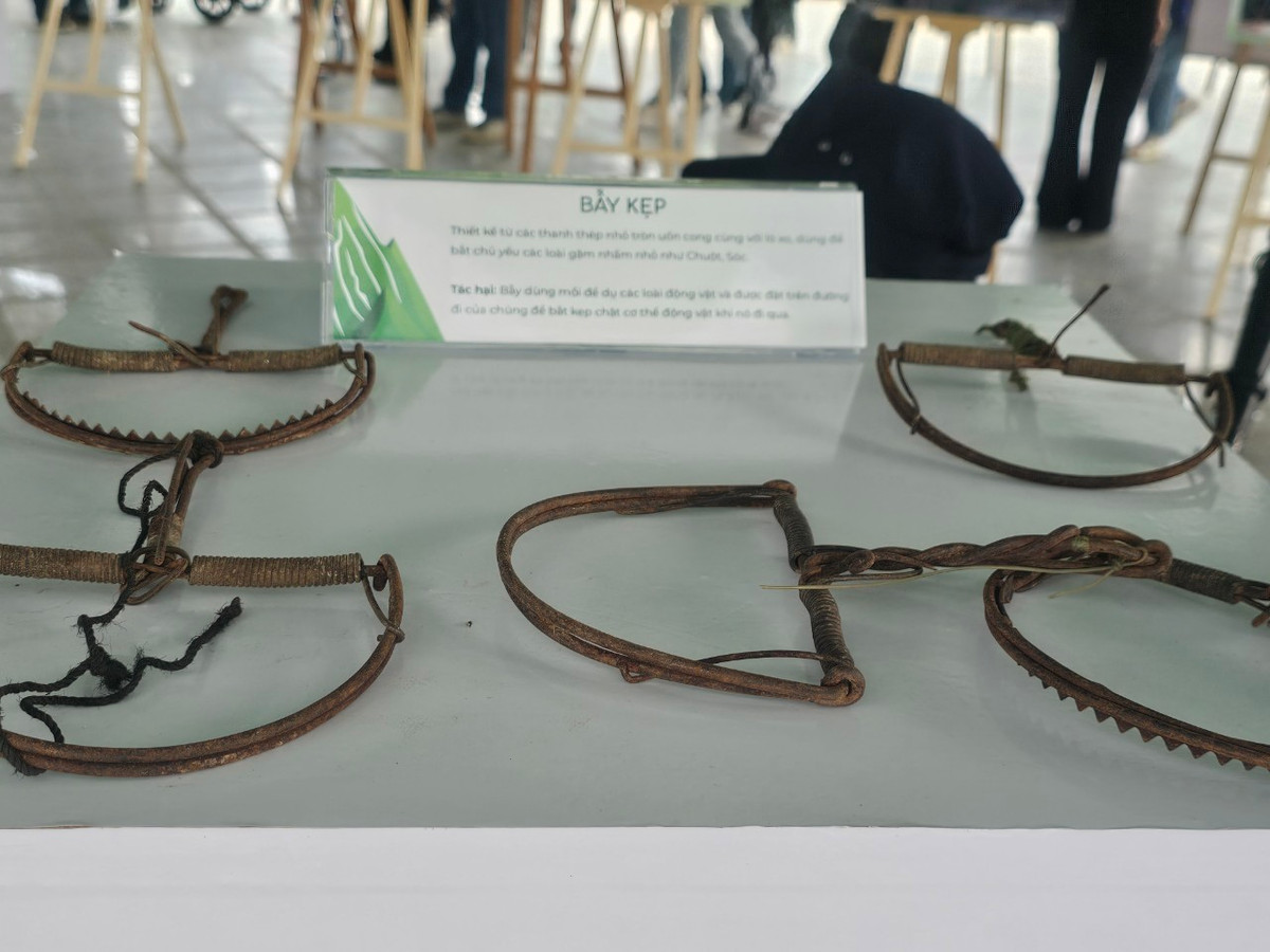 WWF Việt Nam cho rằng, những phát hiện quan trọng này đòi hỏi cần có những chương trình hành động cụ thể và quyết liệt ở các cấp, ngành để giảm tiêu thụ động vật hoang dã.