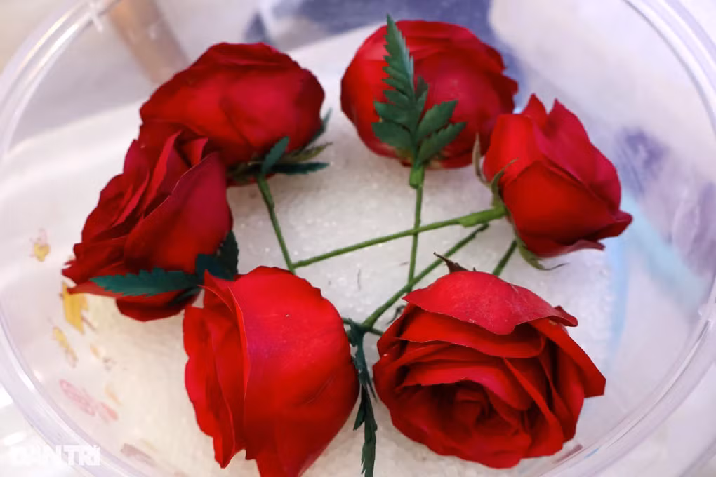 Lam giau voi bi kip bien hoa tuoi thanh “bat tu”-Hinh-3