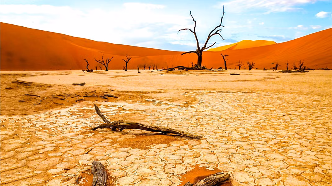 Nếu không có mưa, sẽ không có thực vật. Và nếu không có thực vật, trái đất sẽ không có oxy. Khi mưa biến mất, thực vật sẽ bắt đầu chết hàng loạt, bầu không khí sẽ sớm bắt đầu cảm nhận được hiệu ứng.