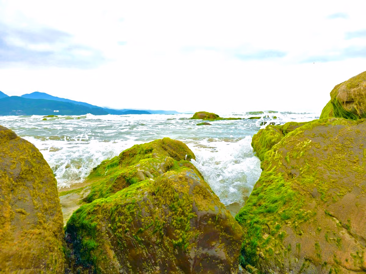 Những tảng đá được nhuộm một màu xanh rêu tuyệt đẹp.