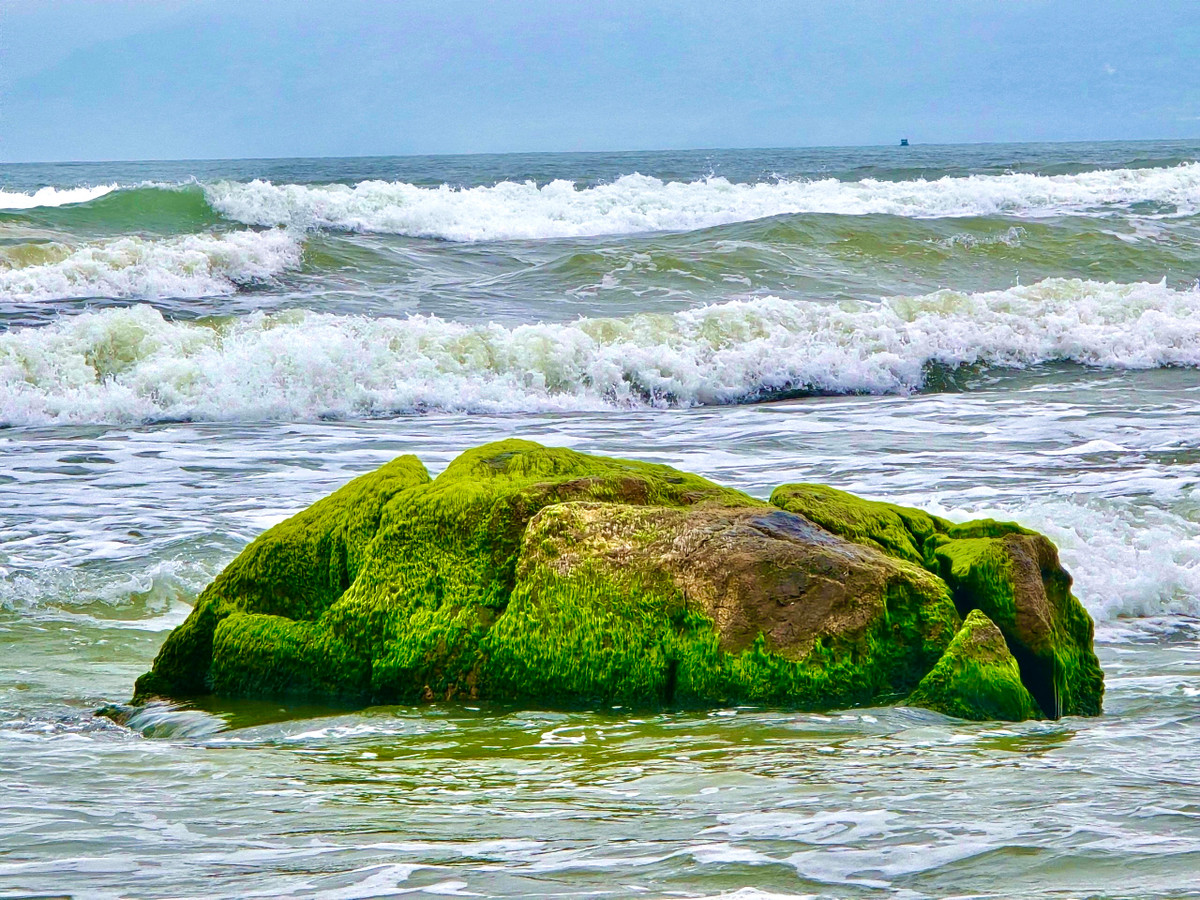 UBND TP Đà Nẵng vừa có quyết định phê duyệt đồ án quy hoạch chi tiết Công viên sinh thái ghềnh Nam Ô và Quảng trường phía Nam ghềnh Nam Ô.