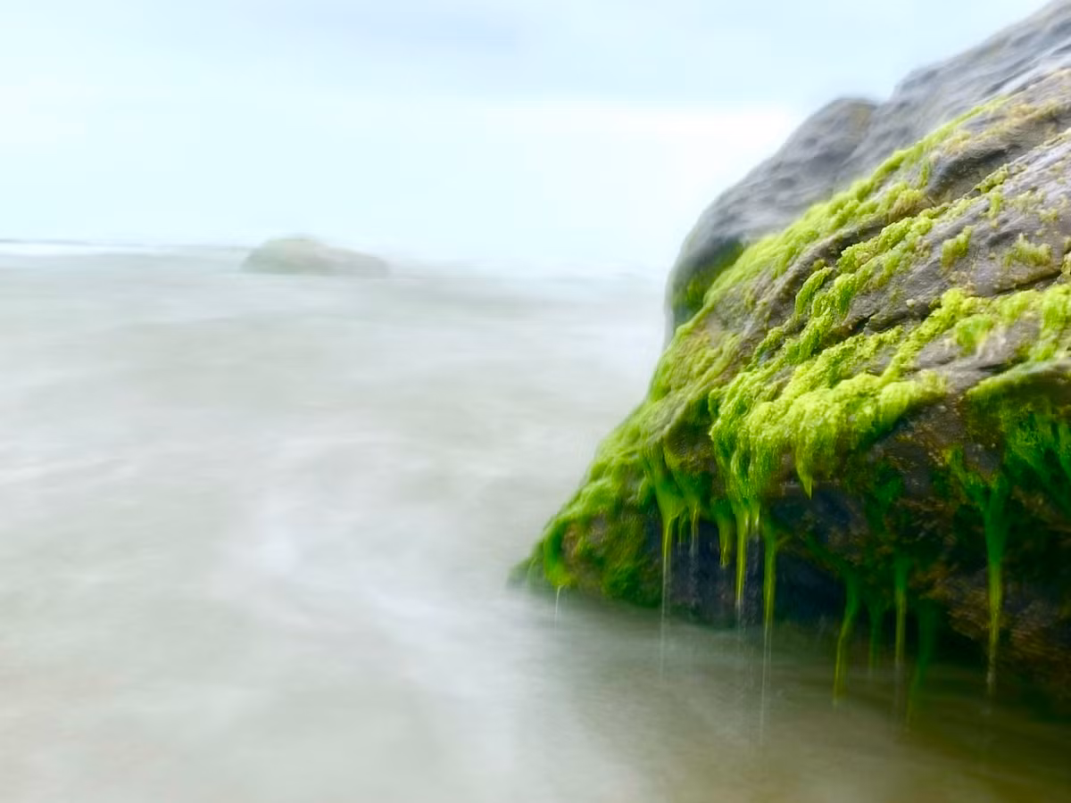 Vẻ đẹp lung linh huyền ảo nơi ghềnh đá hoang sơ làm say lòng biết bao du khách.