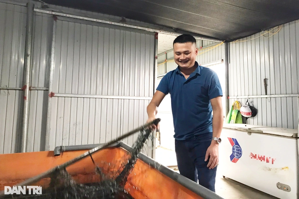 Nuôi lươn không bùn, anh nông dân đạt doanh thu hơn 2 tỷ đồng - Hình 2 Nuoi luon khong bun, anh nong dan dat doanh thu hon 2 ty dong-Hinh-2