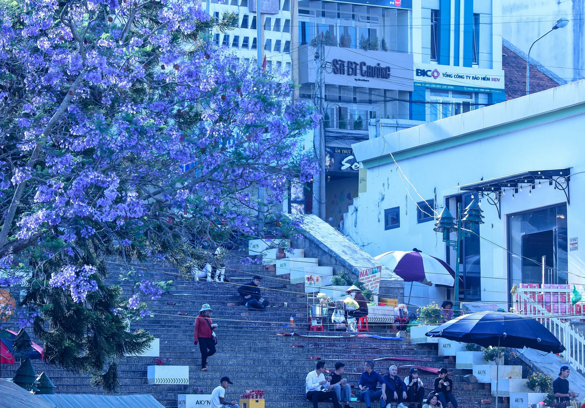 Góc cầu thang Chợ Đà Lạt mùa phượng tím