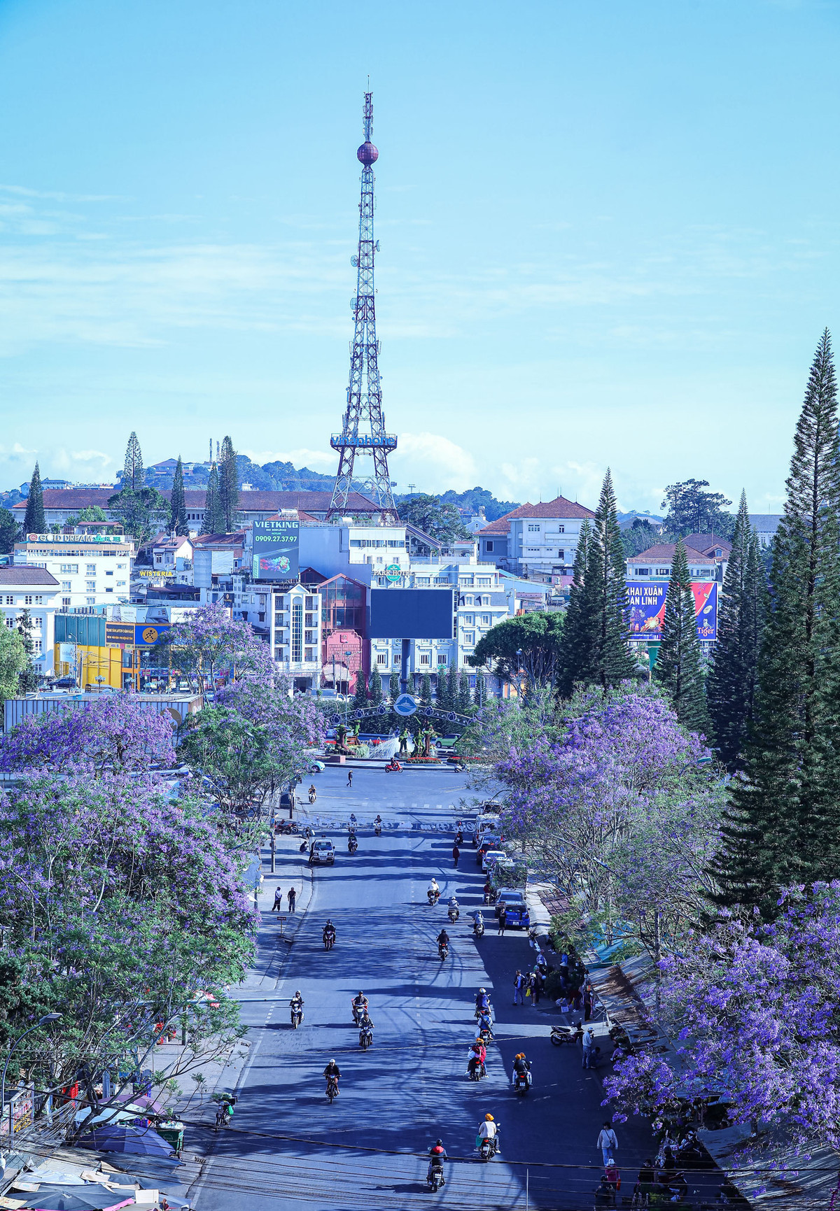 Với vẻ đẹp tinh tế, hoa phượng tím đã trở thành một điểm nhấn quan trọng trong cảnh quan của Đà Lạt, thu hút sự chú ý của rất nhiều du khách đến thăm thành phố này. Nếu bạn có dịp đến Đà Lạt vào mùa hoa phượng tím, đừng quên dành thời gian để chiêm ngưỡng và chụp những bức ảnh đẹp bên những tán hoa tím tuyệt đẹp này.