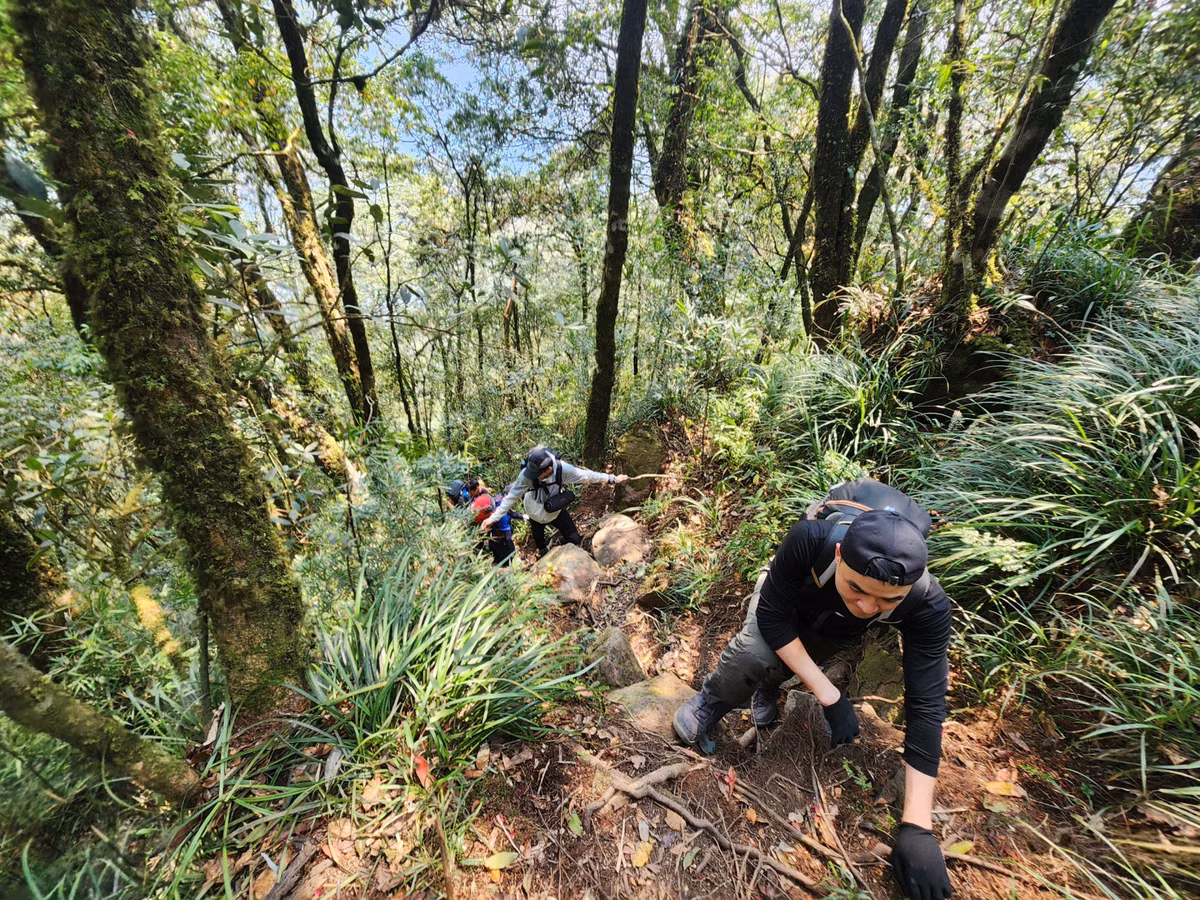 Đoạn đường đầu tiên đi qua khá đơn giản. Tuy nhiên đi được khoảng 2,5km đó mới thực sự là thử thách về thể chất và tinh thần khi đường đi quá nhỏ và gập ghềnh, nhiều đoạn dốc ngược đến nỗi phải bám vào rễ cây hoặc nắm tay người đi trước, có đoạn chúng tôi phải đi bằng "bốn chi" để vượt qua.