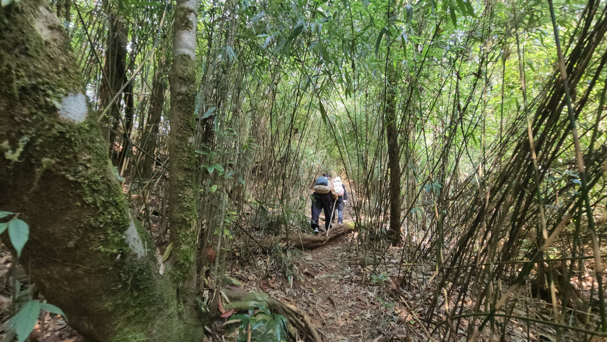 Chúng tôi khởi hành lúc 6h sáng từ bản Sì Thâu Chải dưới sự hướng dẫn của trưởng bản Lù A Nghi và hai người hỗ trợ mà dân leo núi thường gọi là "Porter".