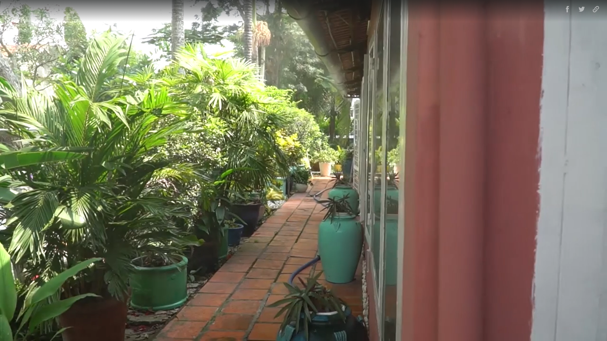 Điểm nhấn cho ngôi nhà vườn chính là những đồ nội thất bằng gỗ, gốm sứ mộc mạc, bức tường được trang trí bởi bộ sưu tập những chiếc đĩa và trong nhà, nam ca sĩ đặt khá nhiều chậu hoa. Nam ca sĩ nhận mình là người có lối sống đơn giản và gần gũi thiên nhiên. Mỗi lần về nhà vườn, anh tự tay tưới cây, tỉa cành, nhổ cỏ, bón phân cho khu vườn của mình.