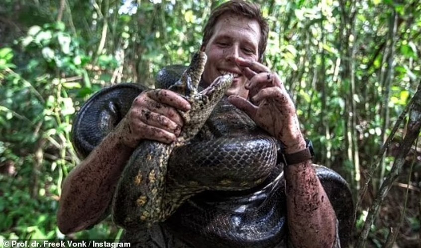 Con tran lon nhat the gioi- bieu tuong cua vung Bonito bi ban chet-Hinh-2