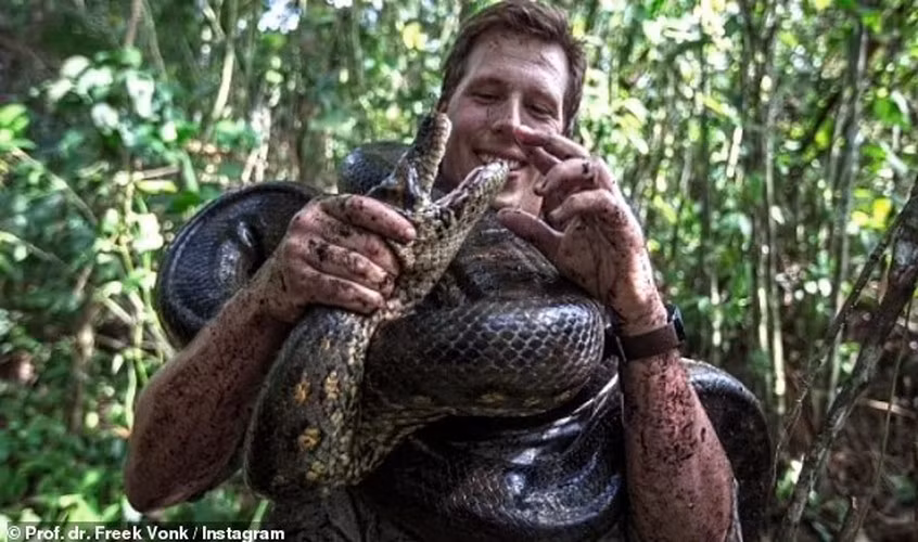 Con tran lon nhat the gioi- bieu tuong cua vung Bonito bi ban chet-Hinh-2