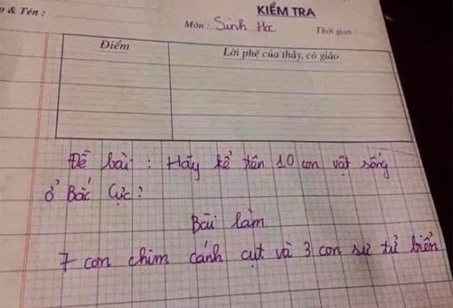 Doc dap an bai kiem tra, co giao khong biet phai cham sao