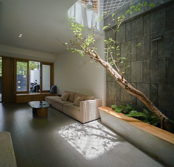 Giếng trời cạnh phòng khách được tận dụng làm khu vườn trồng cây bên dưới. Ảnh: ECONS Vietnam