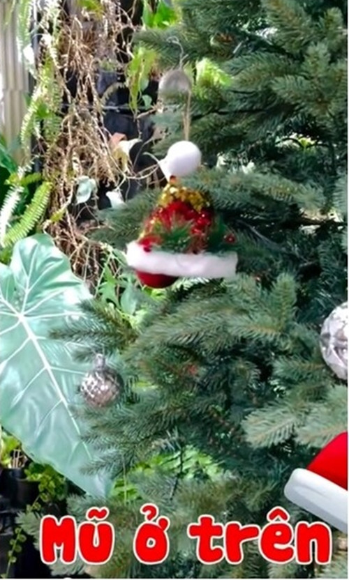 Cây thông xanh được trang trí với tông màu trắng - đỏ chủ đạo, được điểm xuyết bằng những quả cầu bạc lấp lánh. Ảnh chụp màn hình