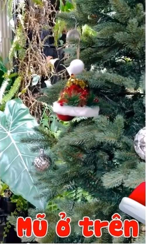 Cây thông xanh được trang trí với tông màu trắng - đỏ chủ đạo, được điểm xuyết bằng những quả cầu bạc lấp lánh. Ảnh chụp màn hình
