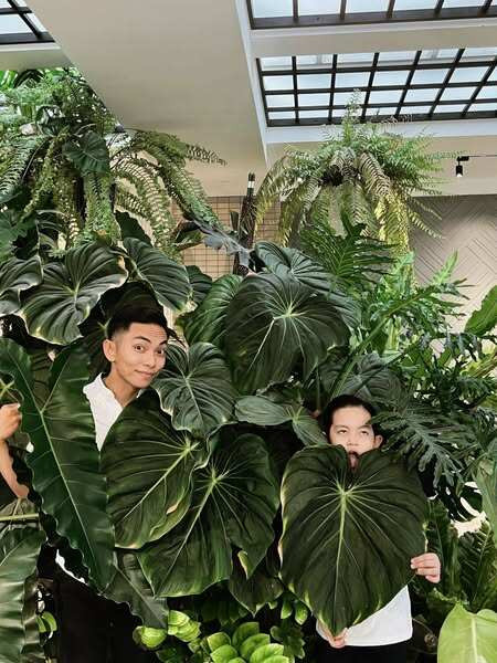 Góc vườn nhỏ đủ để gia đình Phan Hiểu chill và chụp hình. Ảnh: FBNV